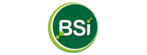 BSI BSI