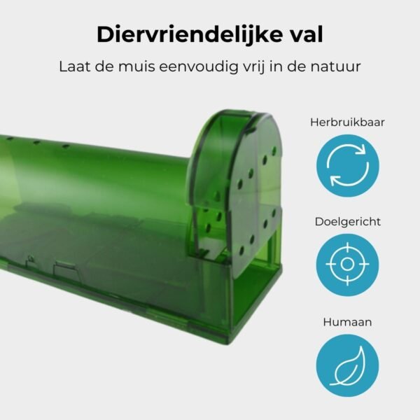 Unpest diervriendelijke muizen inloopval