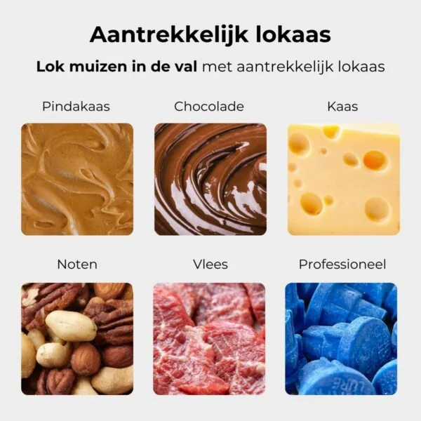 Unpest muizen inloopval metaal (rechthoek)