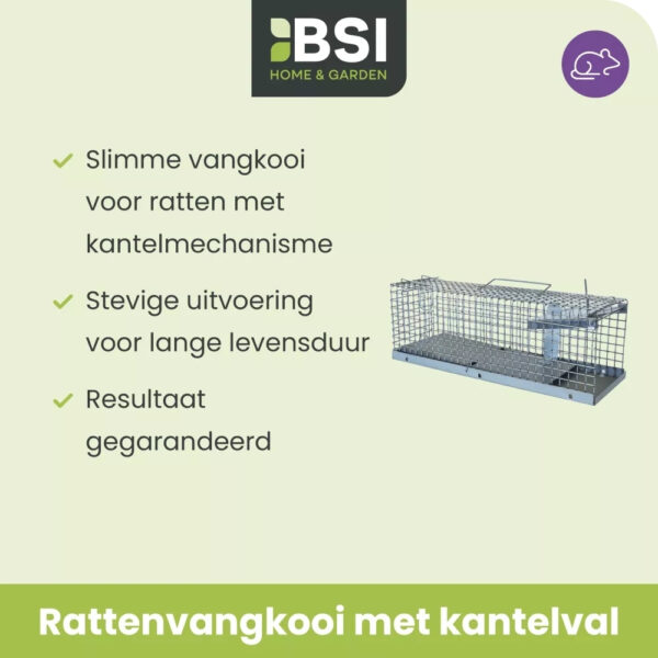 BSI rattenvangkooi metaal 1 ingang