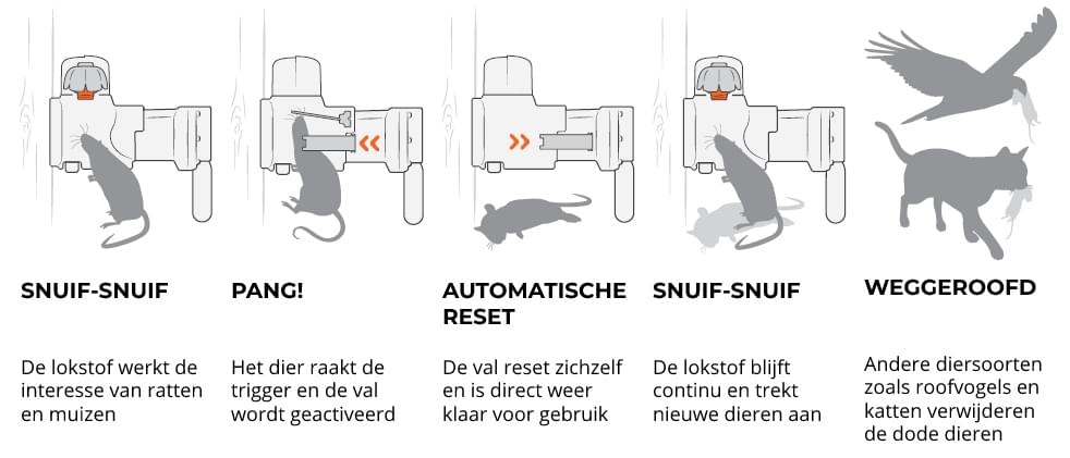 De werking van de Goodnature ratten- en muizenval