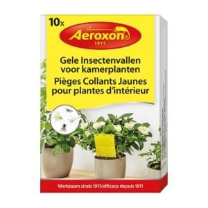 Aeroxon gele insectenvallen