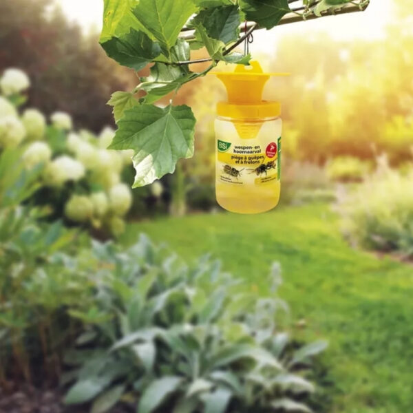 BSI Wasp Attract Wespenval
