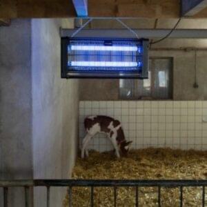 Knock Off Insectenlamp 2x15 watt