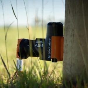 Goodnature A24 starter trap kit