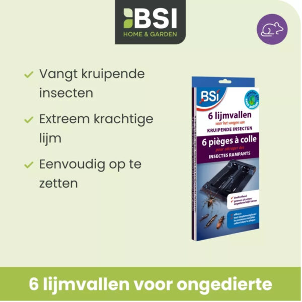 BSI Kleefval voor spinnen, kakkerlakken en andere kruipende insecten
