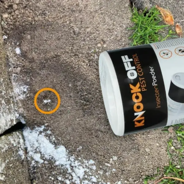 Knock Off Insectenpoeder tegen kruipende insecten (250 gr)