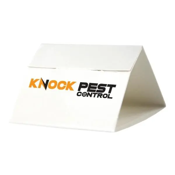 Knock Pest Zilvervisjesval Delta (3 stuks)