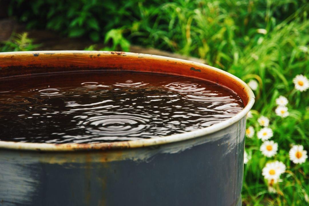 stilstaand water oorzaak muggenplaag