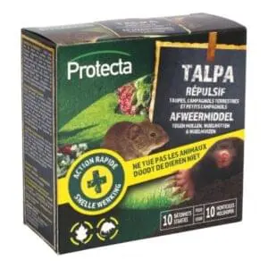 Protecta talpa