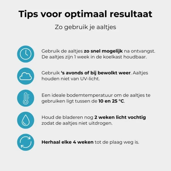 Optimaal resultaat met aaltjes