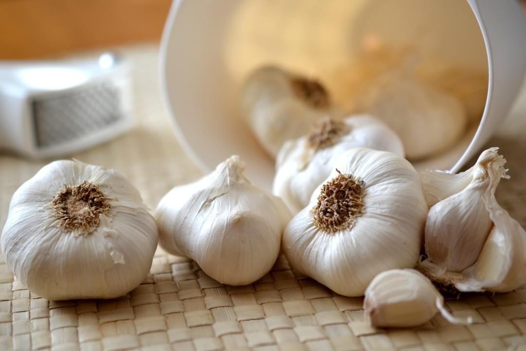 Mollen verjagen met knoflook