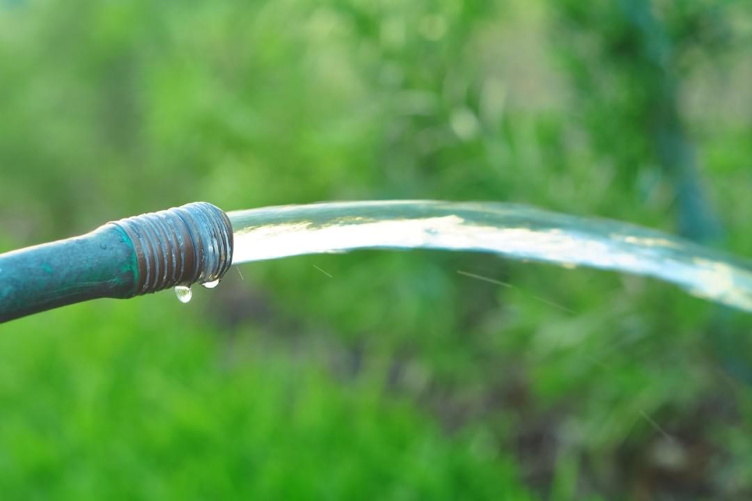 Mollen verjagen met water