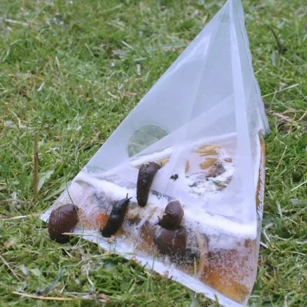 Unpest Slakkenzak
