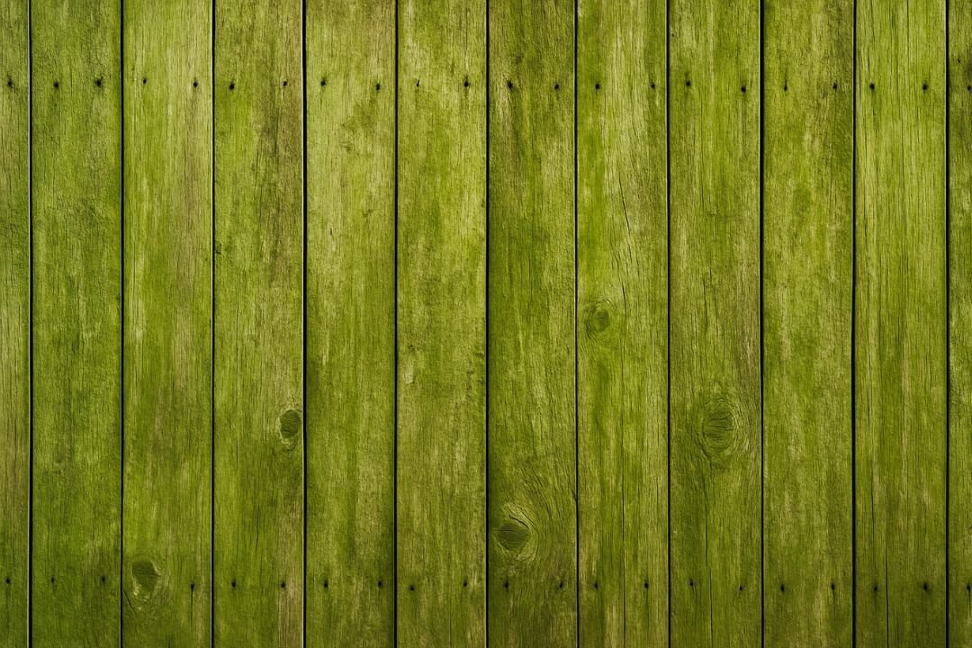 Groene aanslag op de schutting