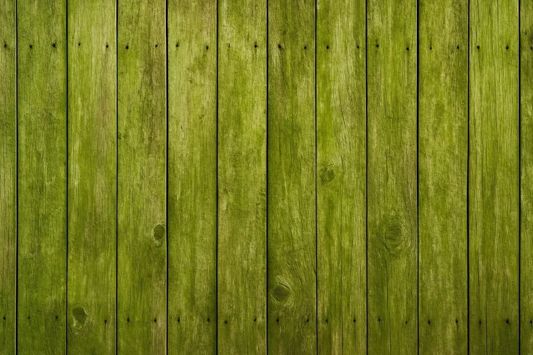 Hoe kun je groene aanslag van de schutting verwijderen?