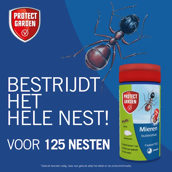 Protect Garden Fastion KO mierenpoeder (250 gr)