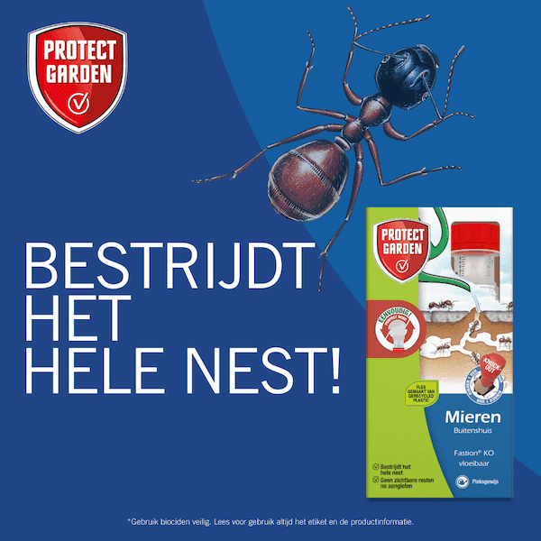 Protect Garden Fastion KO vloeibaar PD (250 ml)