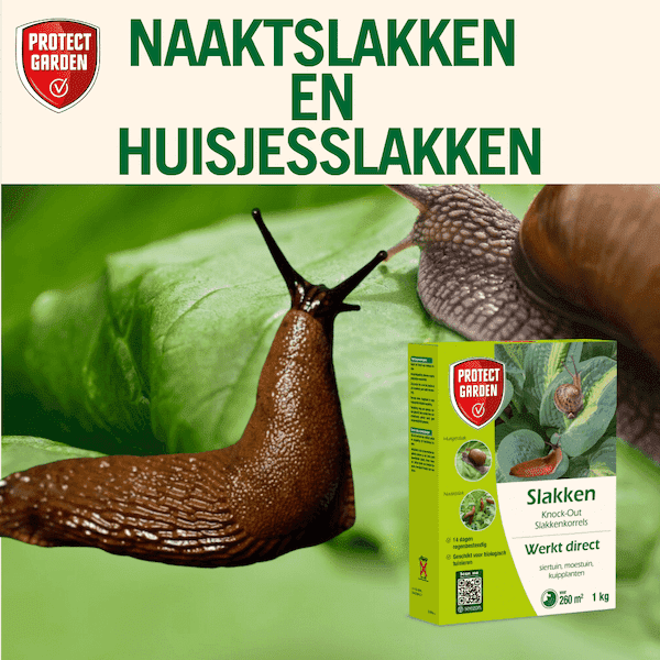 Protect Garden Knock-Out slakkenkorrels (1000 gr)