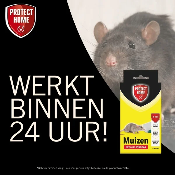 Protect Home Express Muizenpasta (1 lokdoos)