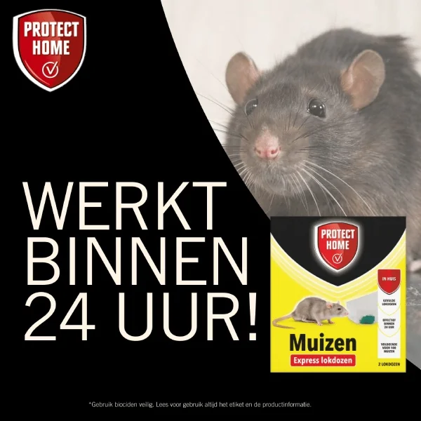Protect Home Express Muizenpasta (2 lokdozen)