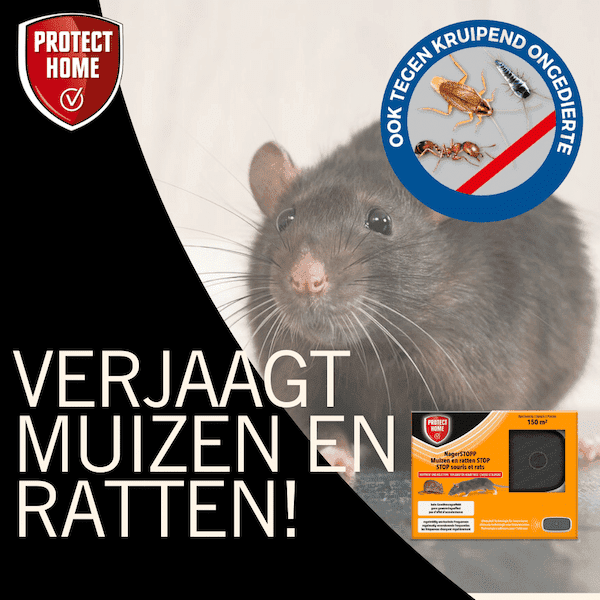 Protect Home Ultrasonic verjager Muis en Rat (150 m²)