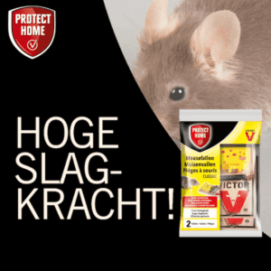 Protect Home Victor muizenval hout (2 stuks)