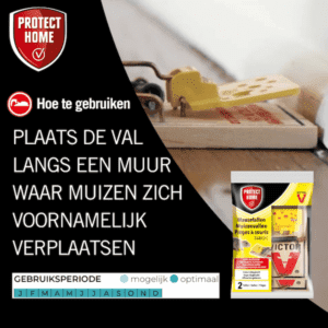 Protect Home Victor muizenval hout (2 stuks)