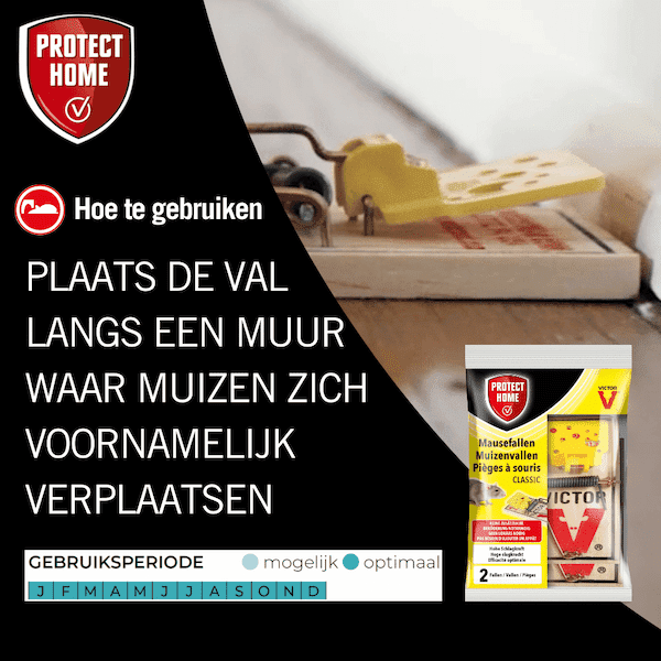Protect Home Victor muizenval hout (2 stuks)