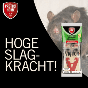 Protect Home Victor rattenval hout