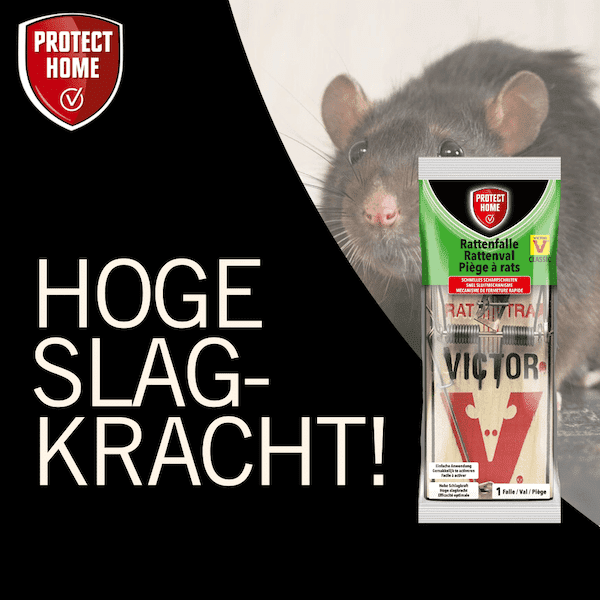 Protect Home Victor rattenval hout