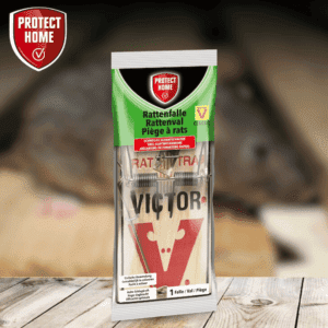 Protect Home Victor rattenval hout