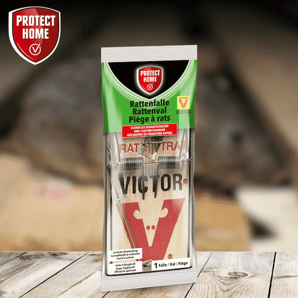 Protect Home Victor rattenval hout