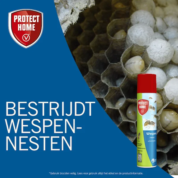 Protect Home Wespen schuimspray (400 ml)