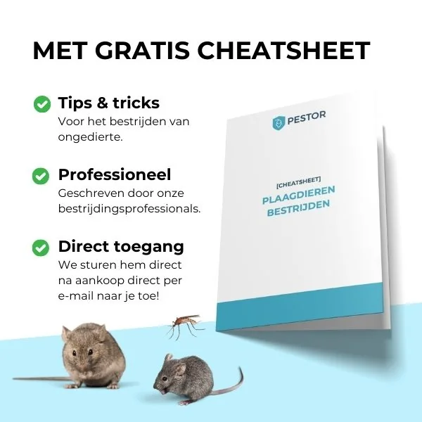 Gratis cheatsheet