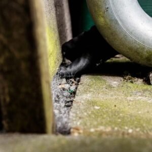 Mouse & Rat Stop RVS Staalwol (200 gram/3 meter)