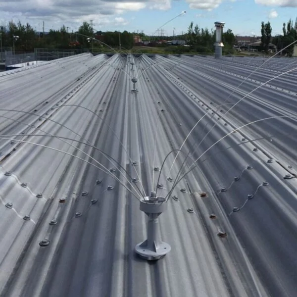 Birdshield Longlegs Vogelwering