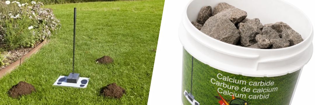 Hoe kun je mollen bestrijden met carbid? Hoe kun je mollen bestrijden met carbid?