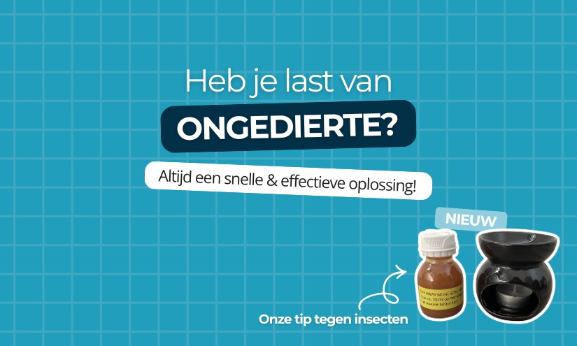 Heb je last van ongedierte? - Altijd een snelle & effectieve oplossing! Heb je last van ongedierte? - Altijd een snelle & effectieve oplossing!