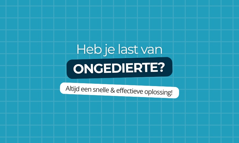 Heb je last van ongedierte? - Altijd een snelle & effectieve oplossing! Heb je last van ongedierte? - Altijd een snelle & effectieve oplossing!