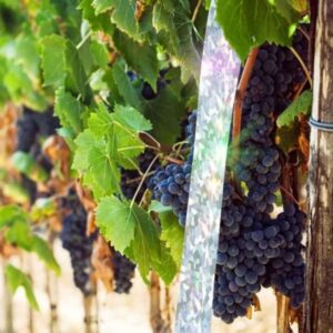 Unpest Reflecterende vogellint op rol