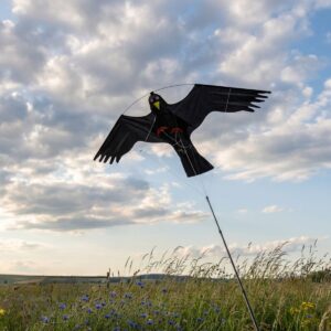 Unpest Vogelverjagende vlieger (7 meter)